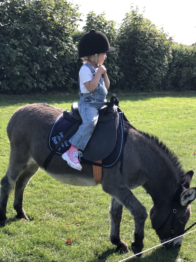 Donkey rides with Kelly's donkeys